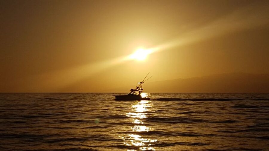 From Puerto Colón: Private Fishing Boat Charter with Lunch - What happens once you leave the marina