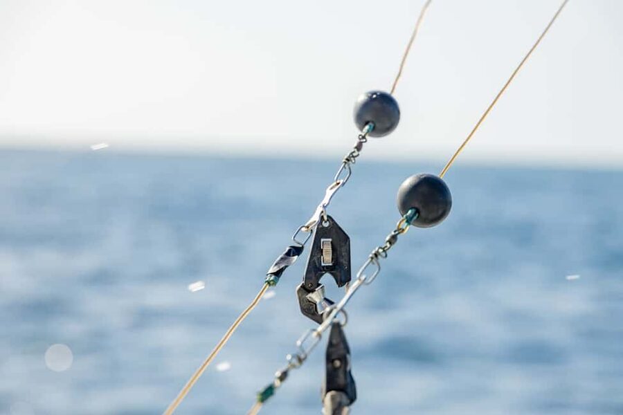 From Punta Cana: Deep Sea Fishing Tour by Boat with Drinks - Key points before you cast off