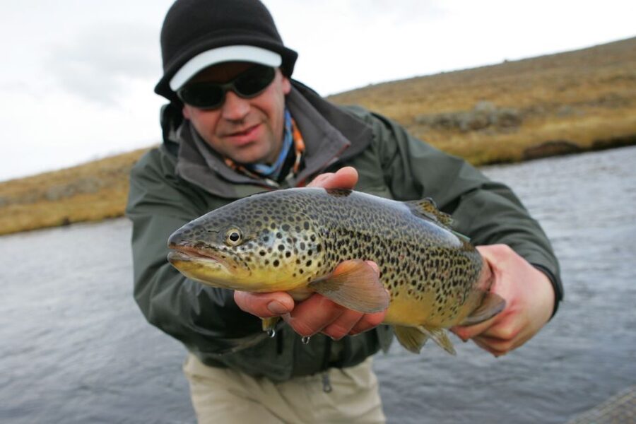 From Reykjavik: Lake and River Fishing Tour - Key points to know before booking