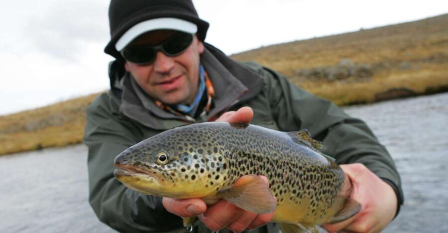 From Reykjavik: Lake and River Fishing Tour - Getting set up with rods, permits, and local help