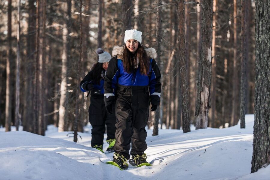 From Rovaniemi: Snowshoeing and Ice Fishing Tour - Snowshoeing through deep snow and forest