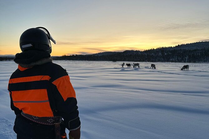 From Saariselkä: Ice Fishing Tour to Lake Inari, reindeers &lunch - What the $215.54 price includes