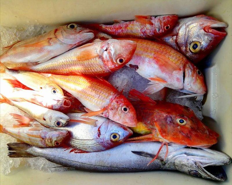 From Sorrento: Fishing in Capri with Lunch - Lunch prepared by the skipper chef