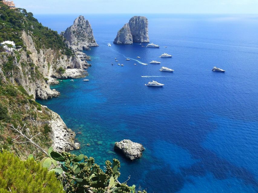 From Sorrento: Fishing in Capri with Lunch - The return to Sorrento with limoncello