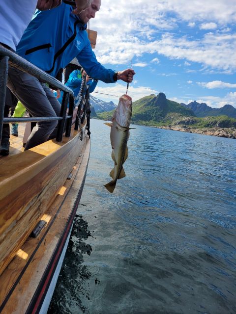 From Svolvaer: Lofoten Fishing Boat Cruise - Key points to know before booking