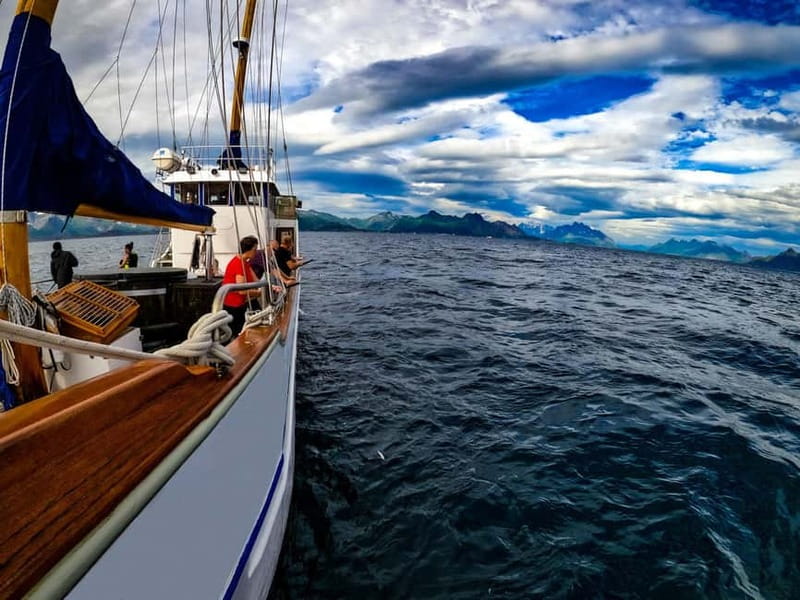 From Svolvær: Taste of Lofoten - Cultural Fishing Experience - What the three-hour itinerary feels like