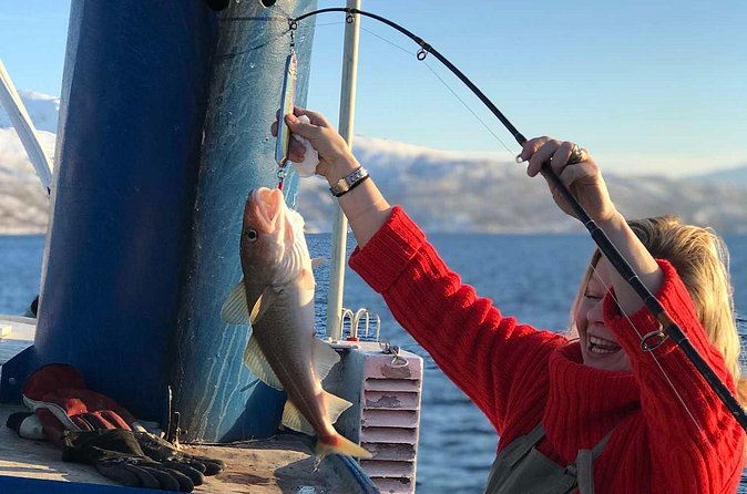 From Tromso: Polar Fishing Adventure - How the itinerary works in practice