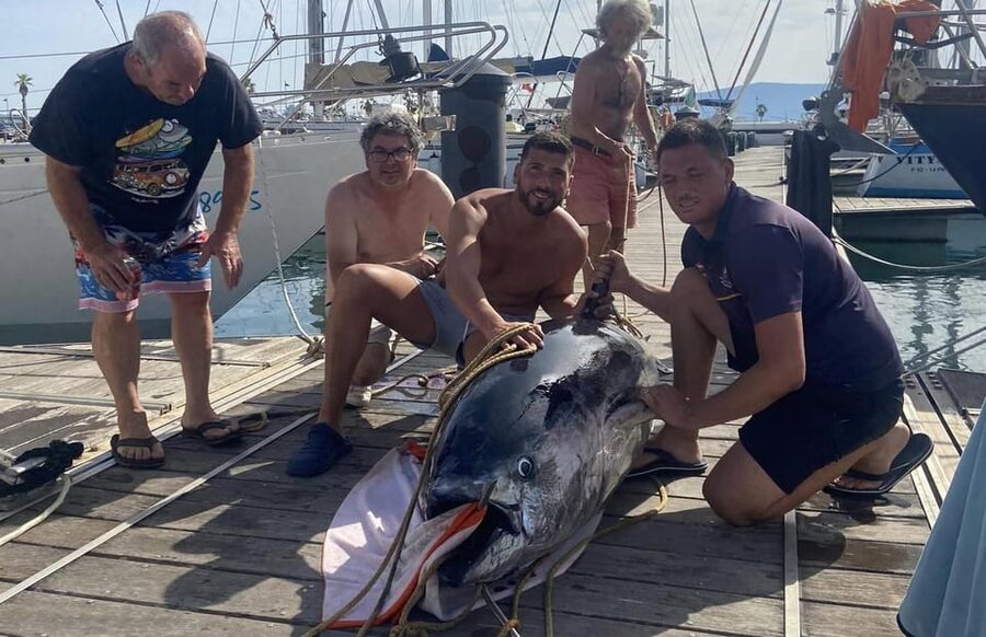 Fuengirola: 4h Trolling Fishing Trip with Snacks and Drinks - Leaving From Fuengirola Marina