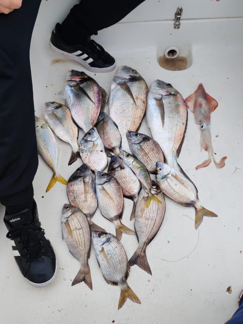 Fuengirola: Bottom Fishing with Jigging and Squid, 2, 4 and 6 hours - Guide quality can make or break the outing