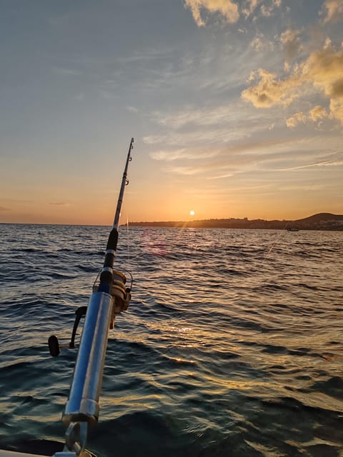 Fuengirola: Bottom Fishing with Jigging and Squid, 2, 4 and 6 hours - Practical advice for a smoother day