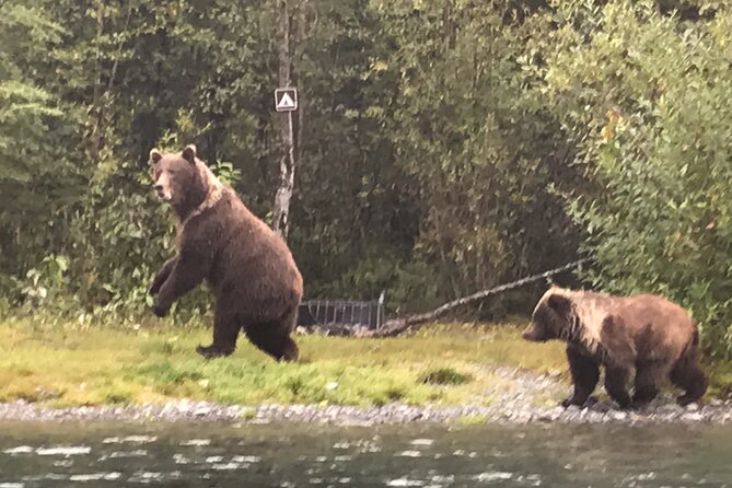 Full day fishing trips - A Full Day on the Upper Kenai River