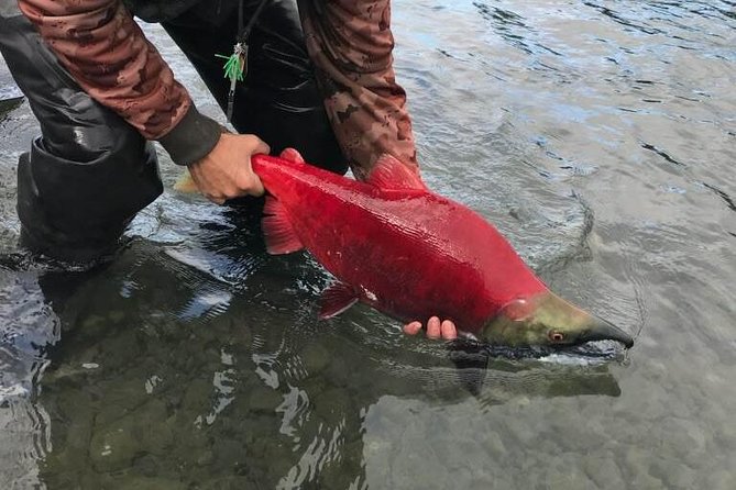 Full day fishing trips - Practical Details Before You Book