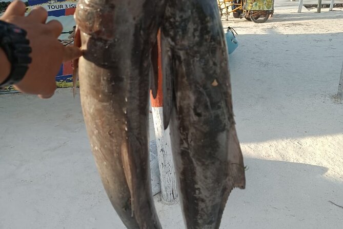Full Day Private Deep Sea Fishing in Holbox - The Boat, Music, and Small Personal Touches