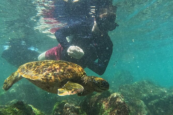 Full Day Tour Pinzon Island + La Fe/Las Palmas - Snorkeling & Fishing - Pinzon Island is worth the long boat ride