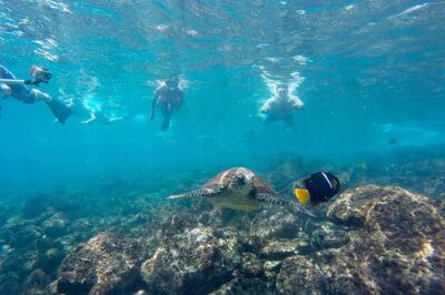 Full Day Tour Pinzon Island + La Fe/Las Palmas – Snorkeling & Fishing