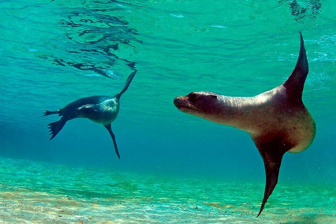 Full Day Tour Pinzon Island + La Fe/Las Palmas - Snorkeling & Fishing - Lunch on board and a practical fishing stop