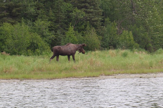 Full-Day Upper Kenai River Guided Fishing Trip - Seeing the Kenai National Wildlife Refuge from the water