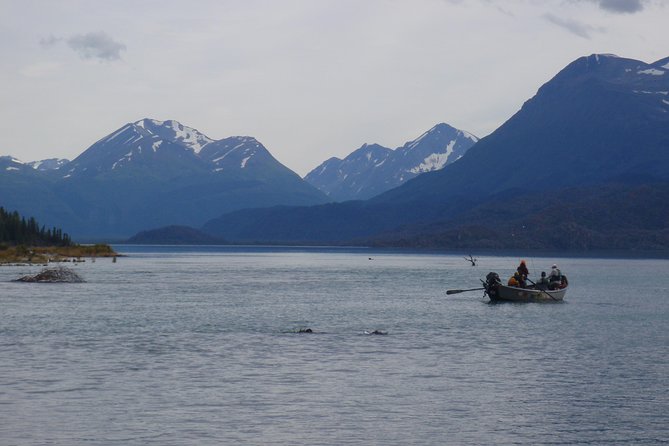 Full-Day Upper Kenai River Guided Fishing Trip - Drifting through Chugach National Forest