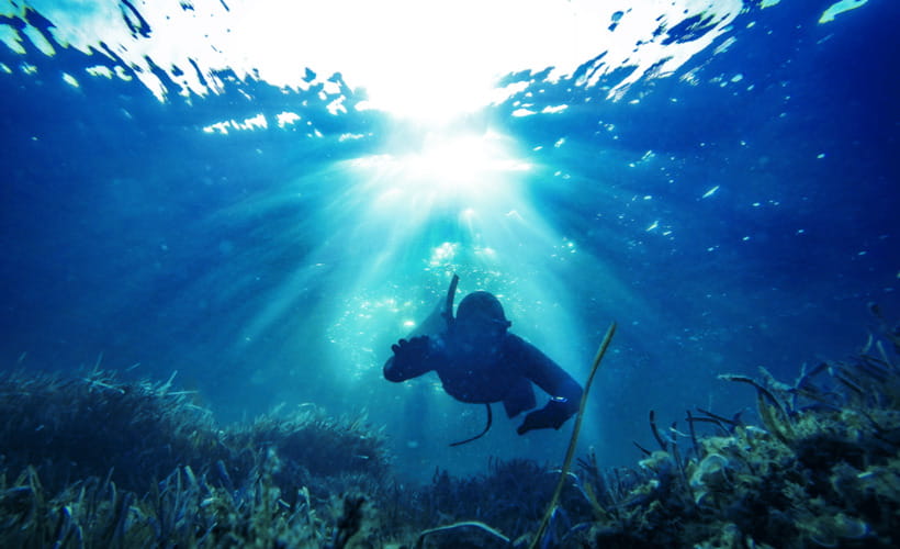 Gili Trawangan : Spearfishing with Catch & Cook Experience - Three and a half hours around Gili Trawangan