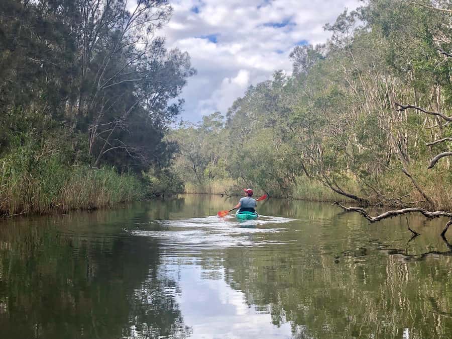 Gold Coast: Kayak Fishing Adventure - The fish you may find on the line