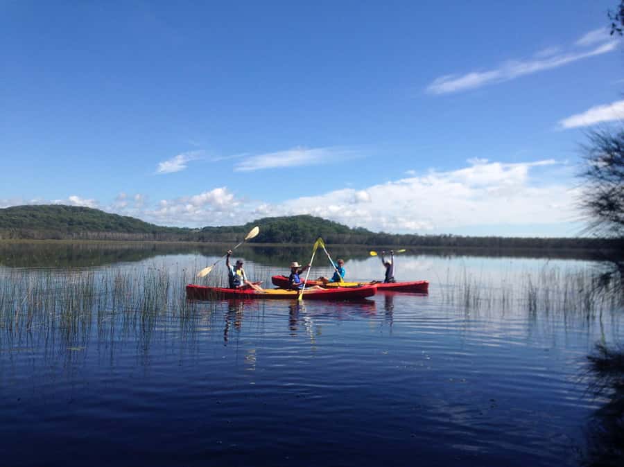 Gold Coast: Kayak Fishing Adventure - What happens during the two-hour outing