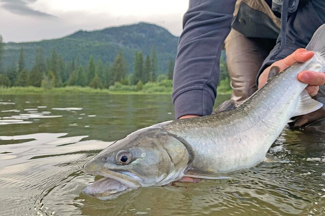 Guided Fishing Adventure in Whistler - Who Will Get the Most From This Trip?