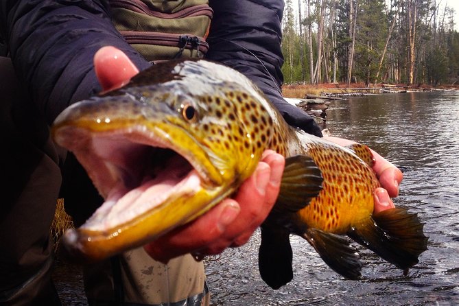 Guided Fishing Trip in Jackson Hole - What happens at the 7:30 am meeting point