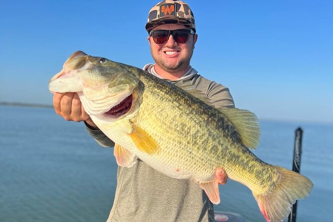 Guided Fishing Trip on Canyon Lake - Four hours that mix fishing with Canyon Lake sightseeing