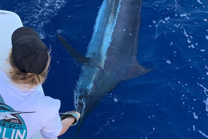 Half Day Afternoon Angler Charter - A private charter for six, with four fishing spots