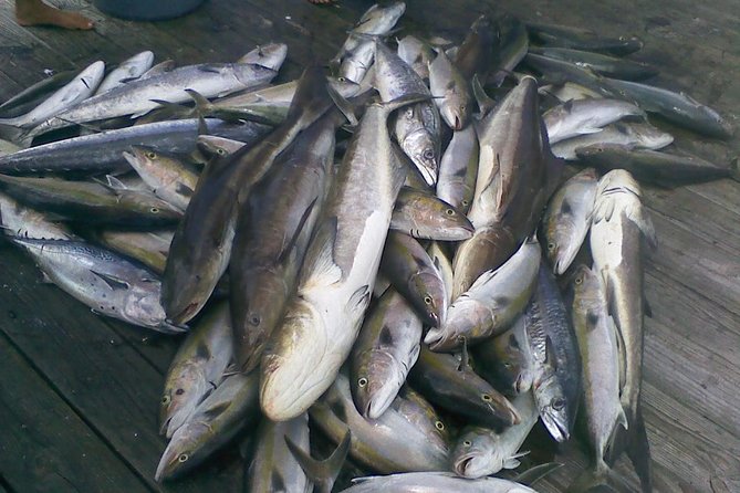 Half-Day Deep-Sea Fishing at Riviera Beach - My Practical Plan for the Morning