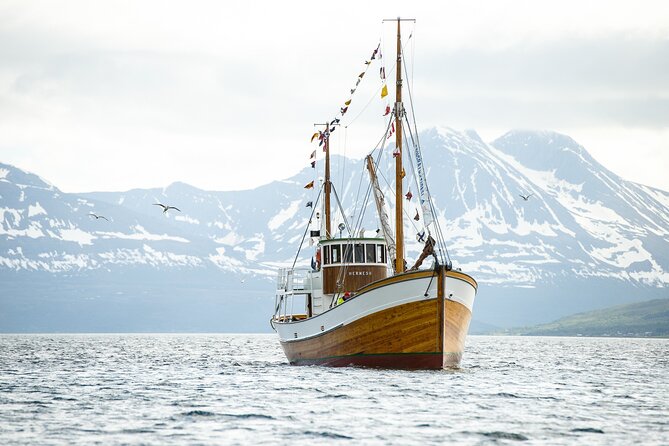 Half-Day Fishing & Fjord Cruise Adventure from Tromsø in Norway - Tromsø Fjords and the Search for Cod