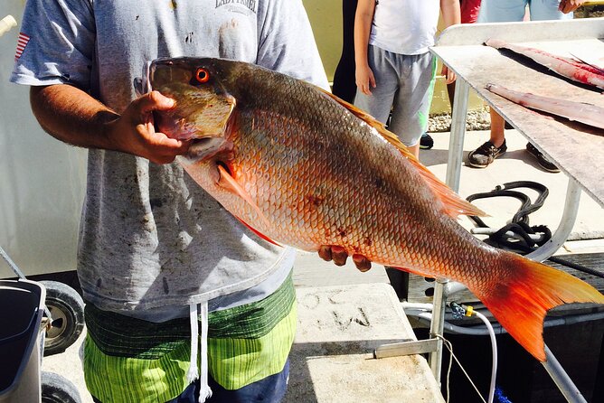Half-Day Fishing Trip in Fort Lauderdale - What happens if the weather changes