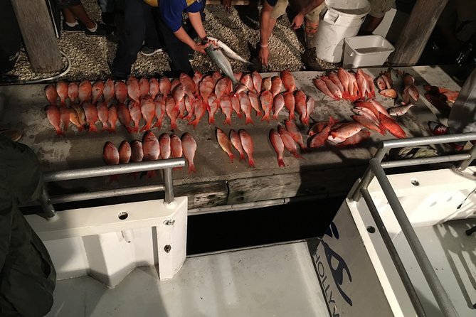 Half-Day Fishing Trip in Fort Lauderdale - Coastal views, changing sea conditions, and seasickness