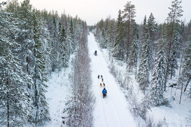 Half-Day Husky Safari and Salmon Ice Fishing Experience - Warm up in the kota after the run