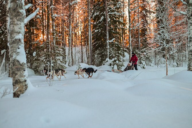 Half-Day Husky Safari and Salmon Ice Fishing Experience - Why the small group matters