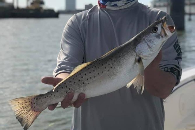 Half-Day Jetty Fishing Trip from Galveston - What makes the experience worth considering