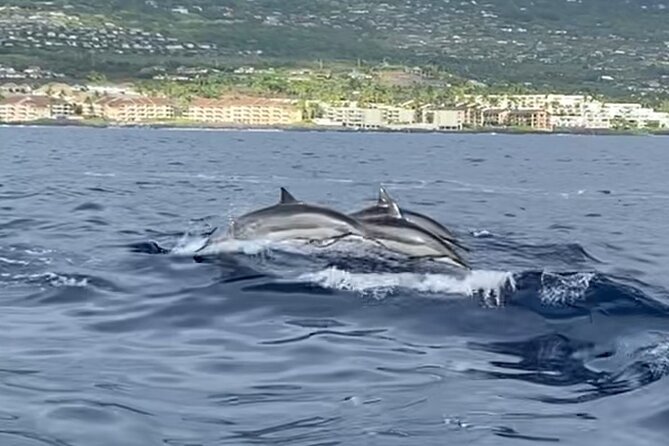 Half Day Private Cruise Tour with Snorkeling and Fishing in Kona - The value of a private five-hour charter