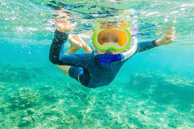 Half Day Private Cruise Tour with Snorkeling and Fishing in Kona - Weather, safety, and what is not guaranteed