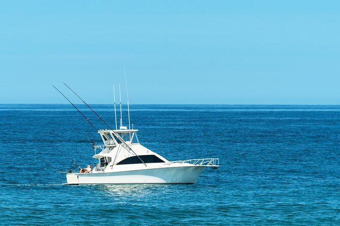 Half-Day Private Fishing Experience in Alanya - Watching for dolphins along Alanya’s coast