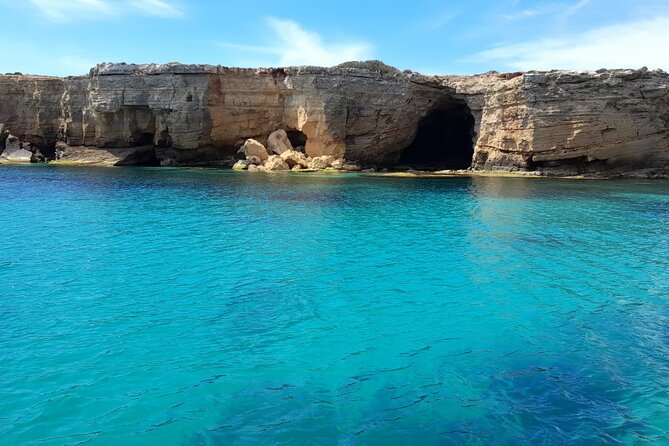 Half-seabed or rod fishing tour with bolentino - What is included on board