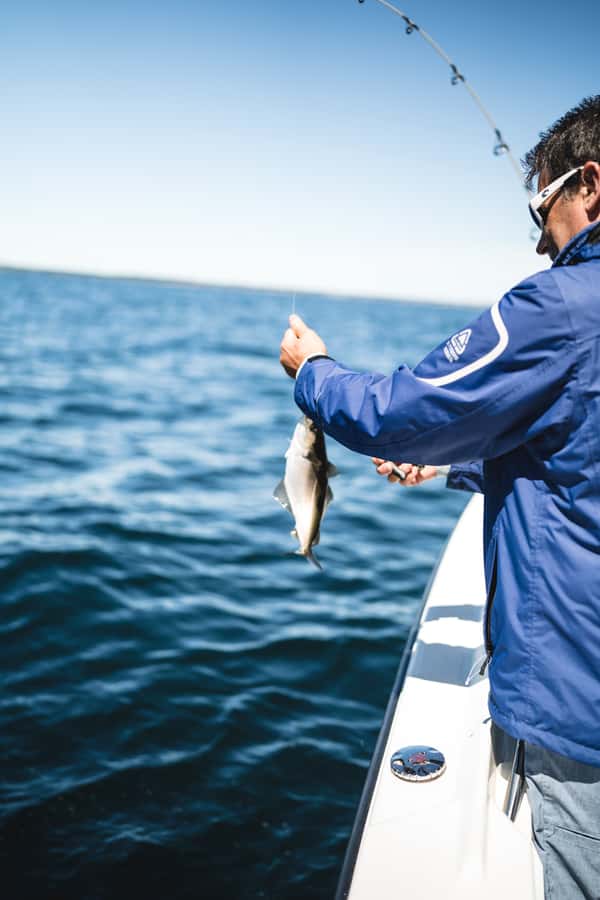 Halifax: 2-Hour Deep Sea Fishing Tour - The value of the $99 price