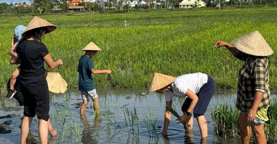 Hoi An:Cycling,Traditional Farming & Fishing Life Experience - Key points at a glance