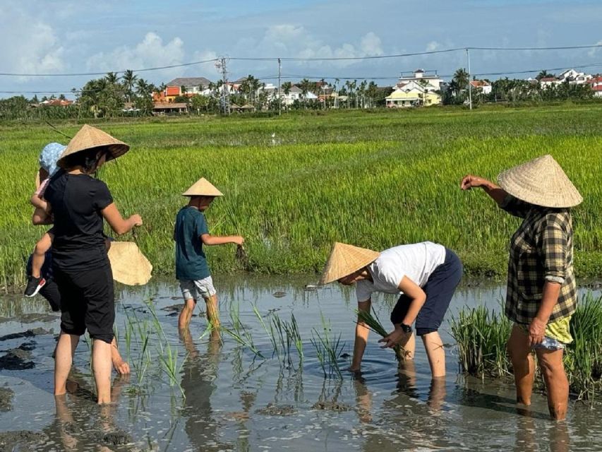Hoi An:Cycling,Traditional Farming & Fishing Life Experience - Palm-thatched houses and local village skills