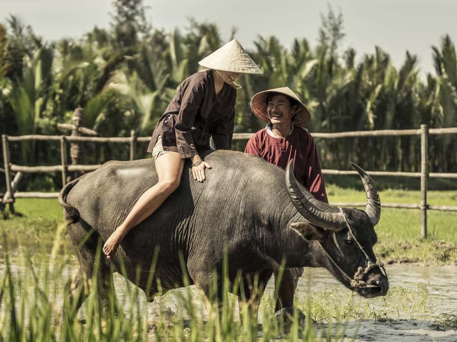 Hoi An : Eco Bicycle Tour with Fishing and Lunch/Dinner - Key points to know before booking
