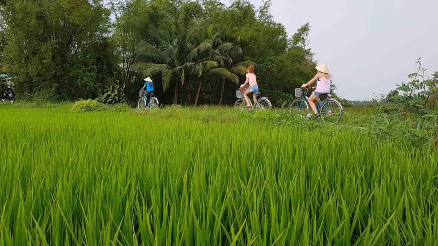 Hoi An : Eco Bicycle Tour with Fishing and Lunch/Dinner - Why this countryside ride feels different from a city tour