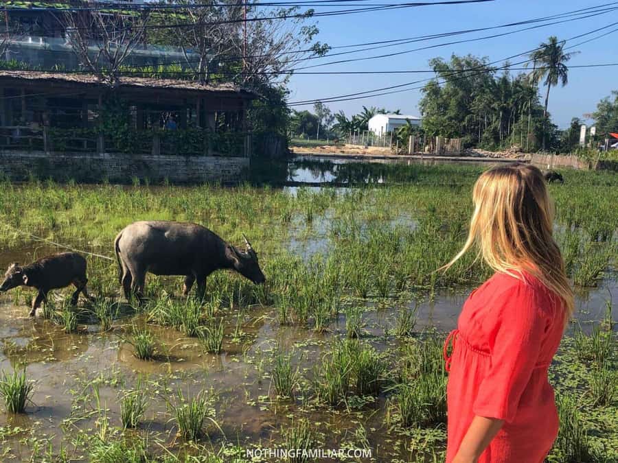 Hoi An : Eco Bicycle Tour with Fishing and Lunch/Dinner - A Vietnamese meal at a farmer’s house