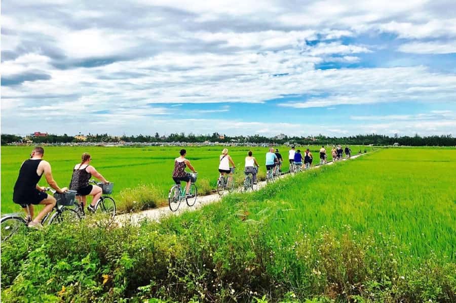 Hoi An : Eco Bicycle Tour with Fishing and Lunch/Dinner - What $36 includes, and where the value lies