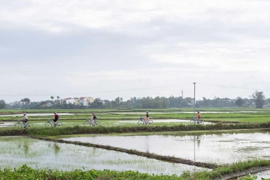 Hoi An : Eco Bicycle Tour with Fishing and Lunch/Dinner - Who will enjoy this Hoi An tour most