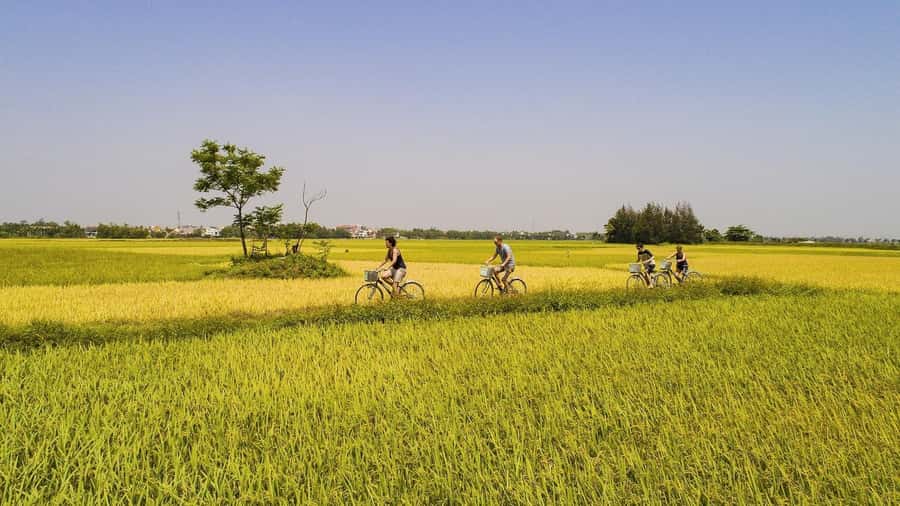 Hoi An : Eco Bicycle Tour with Fishing and Lunch/Dinner - Pedaling from Hoi An to the rice fields