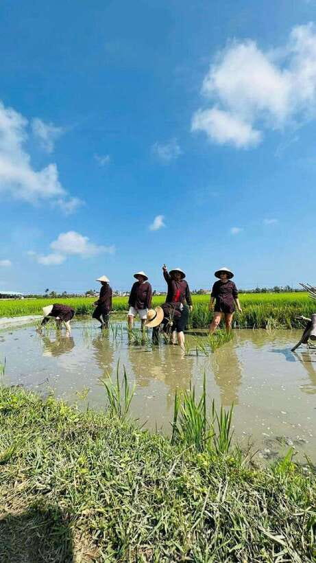 Hoi An Wet Rice Farming Tour-Basket Boat Tour Fishing-Lunch - Rice fields instead of a museum display